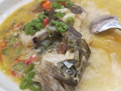 鲜椒煮鳜鱼-茶港食堂(武昌店)