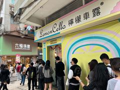 -柠檬车露(卖草地店)