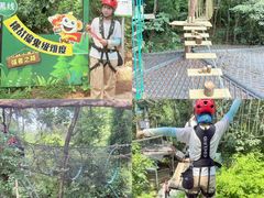 -芦仙山景区-飞越丛林探险乐园