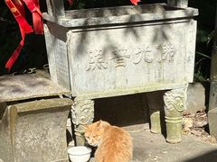 -广州市帽峰山景区
