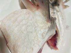 鱼翅-中山脆肉鲩(新圳东路店)