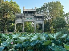 -西溪国家湿地公园