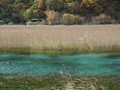 -九寨沟-树正沟