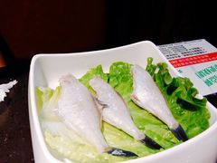冰衣耗儿鱼-锅说大脸毛肚重庆老火锅(佐阾店)