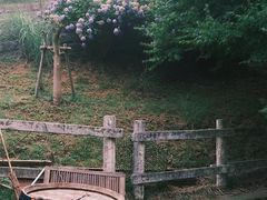 -神户市立六甲山牧场