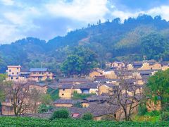 -杨家堂村