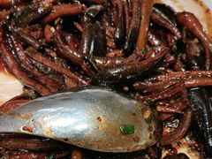 -新吉士·上海菜(浦东LCM置汇旭辉店)