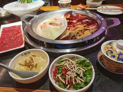 -大龙燚火锅(南山大道店)