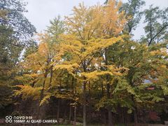 -阳台山自然风景区