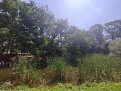 -长白岛森林公园