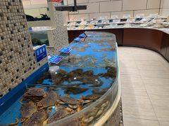 -双井轩(双井店)