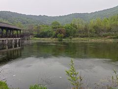 -石塘人家