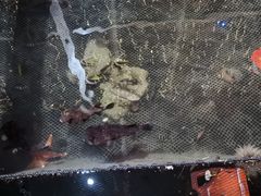 -蓝湾碧波·老字号·疍家非遗海上餐厅