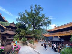 -法雨寺餐厅