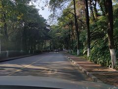 -三水森林公园