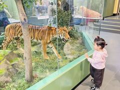 -国家自然博物馆