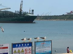-海驴岛(荣成市)