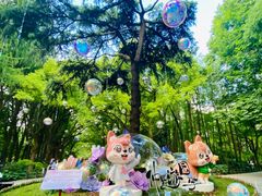 -上海共青森林公园