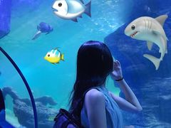 -左海海底世界