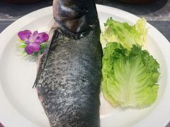 -松沪名灶·豆浆鱼头·新上海菜(江川路交大店)