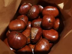 -小宝栗子(嘉华国际商业中心店)