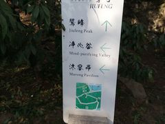 -北京鹫峰国家森林公园