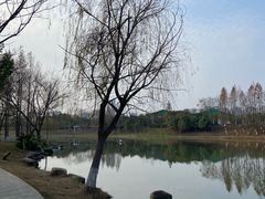 -洋湖国家湿地公园