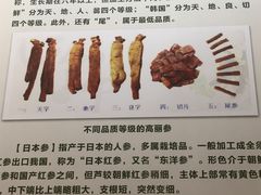 -广东中医药博物馆