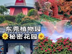 -东莞植物园
