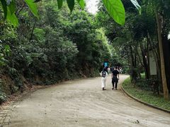 -小南山公园