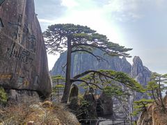 -黄山风景区