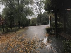 -梁鸿国家湿地公园