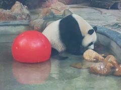 -黔灵山公园