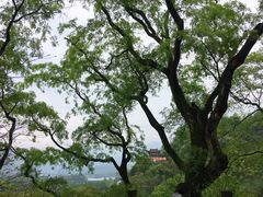 -都江堰景区