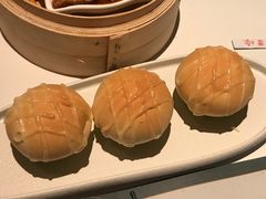-新兴·金羊座·粤菜点心(乐峰店)