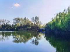 -溱湖国家湿地公园