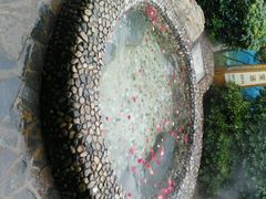 -金孔雀温泉旅游度假村