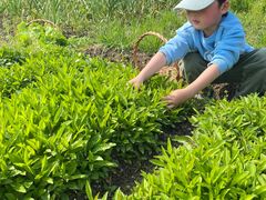 -樂桃源奉贤黄桃种植采摘基地