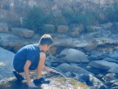 -北仑森林植物园