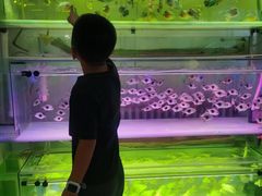 -中环花鸟鱼虫市场