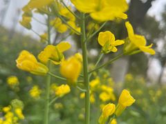 -上海浦江郊野公园-3号停车场