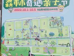 -黄海国家森林公园