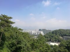 -金鸡山公园
