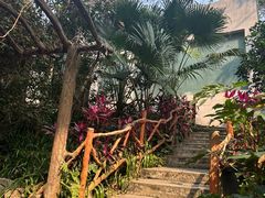 -野象谷景区