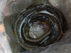 -海峡水产品交易中心(海鲜交易区)