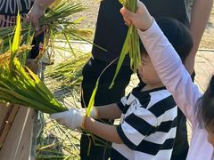 -玛利娅蒙特梭利双语幼儿园·托育(百家湖直营园)