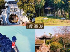 -何园