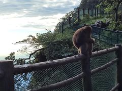 -峨眉山风景名胜区