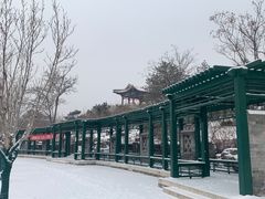 -西海子公园