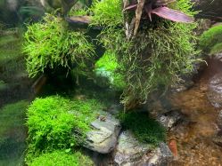 -酷嗒动物文化乐园(cutezoo西溪乐天城店)